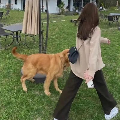 母与女