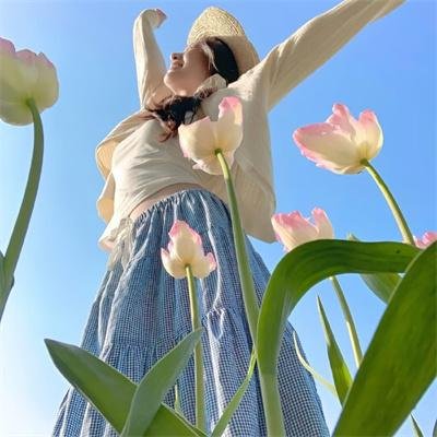 西线无战事